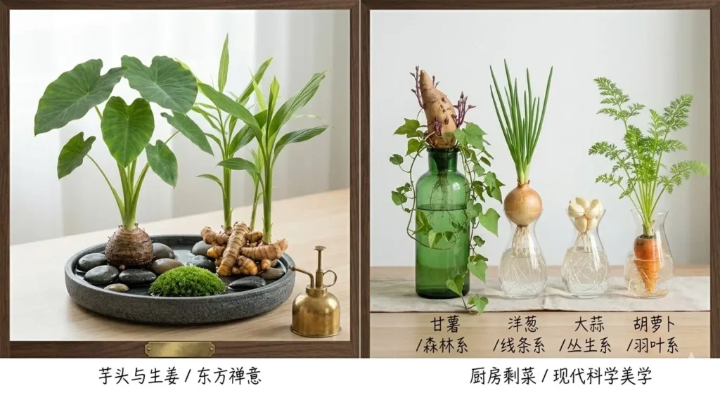 水培蔬菜观赏风格 水培蔬菜观赏风格